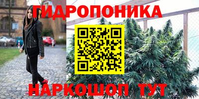 винт Севастополь